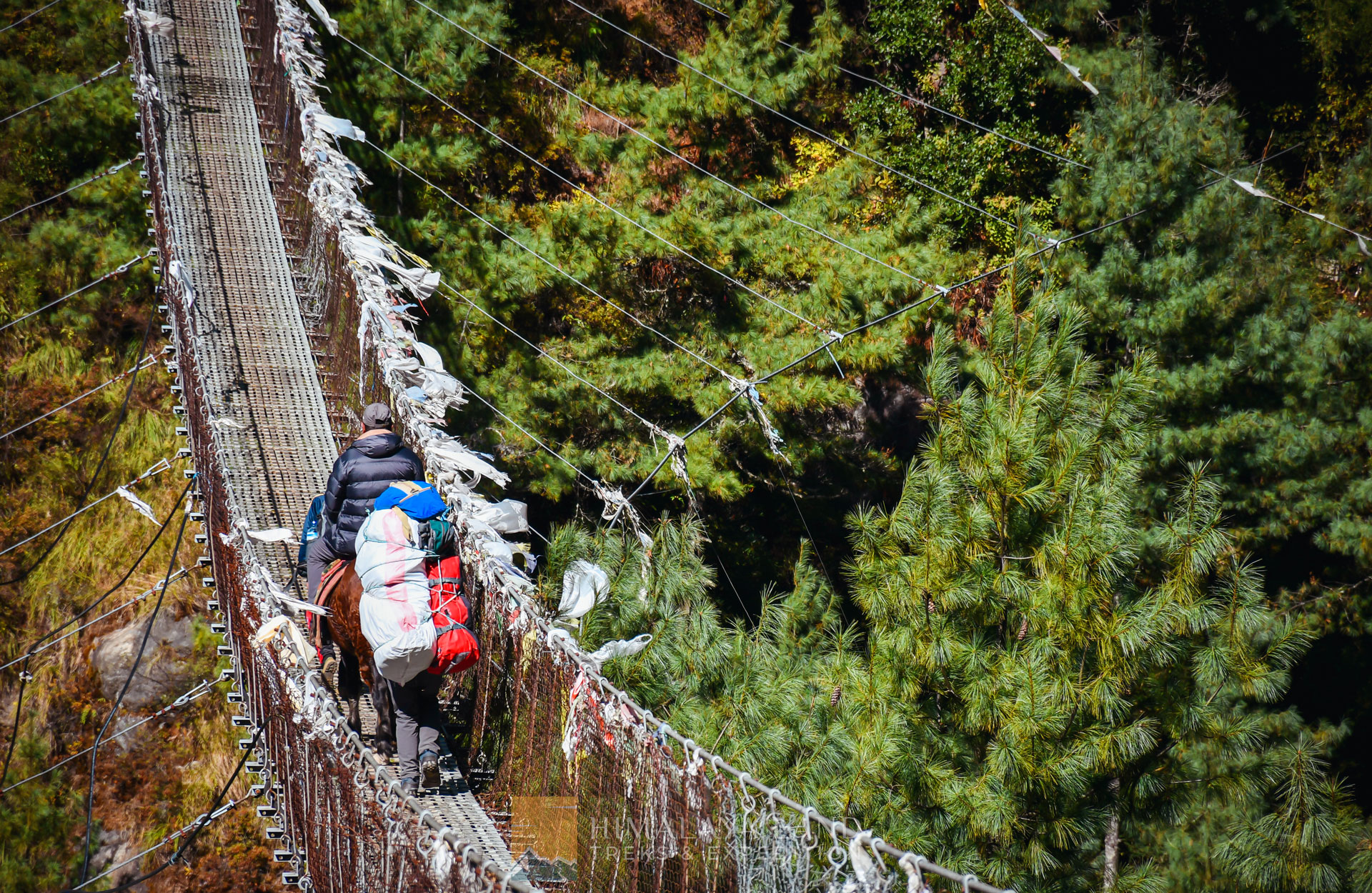 Hillary Suspensive Bridge: A Majestic Passage on the Path to Everest
